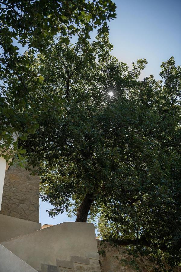 Velanis Ηouse, Style Into Nature - Secluded Kissamos Luaran gambar